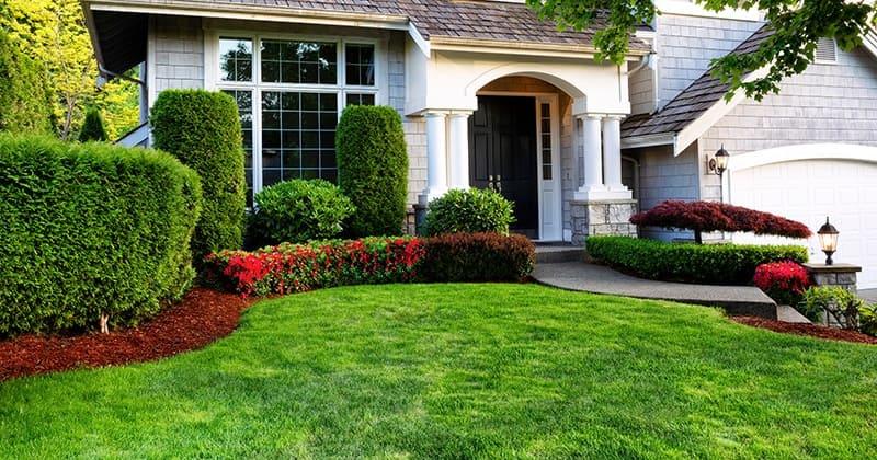 Sustainable Green Spaces: Eco-Conscious Landscape Solutions