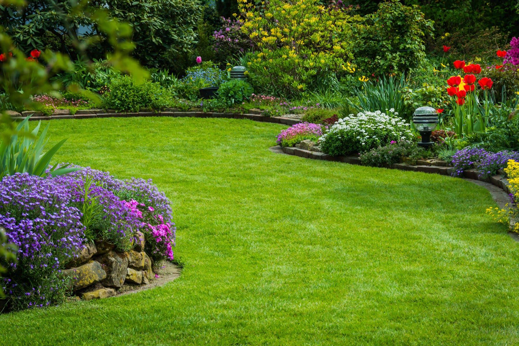 Boost Your Home's Curb Appeal: Essential Landscaping Tips